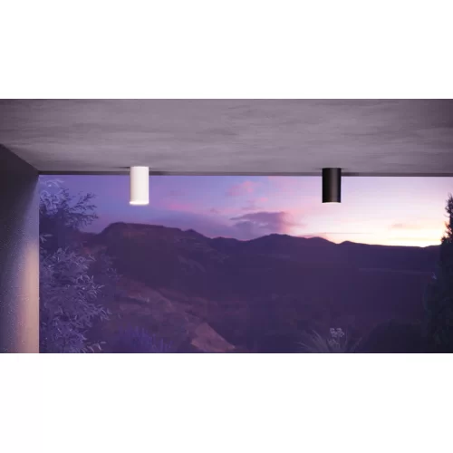 Купить Уличный потолочный светильник Luxe O500CL-L10B3K - фото: 6