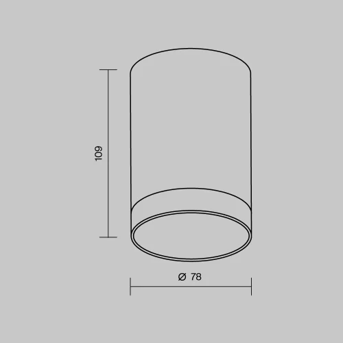 Купить Уличный потолочный светильник Luxe O500CL-L10W3K - фото: 4