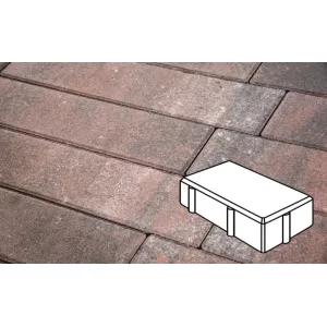 Плитка тротуарная в форме - Брусчатка 200х100