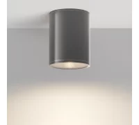 Уличный потолочный светильник Bar O306CL-L7GF