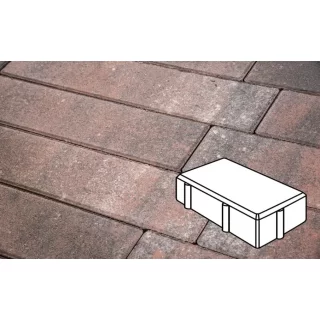 Плитка тротуарная в форме - Брусчатка 200х100