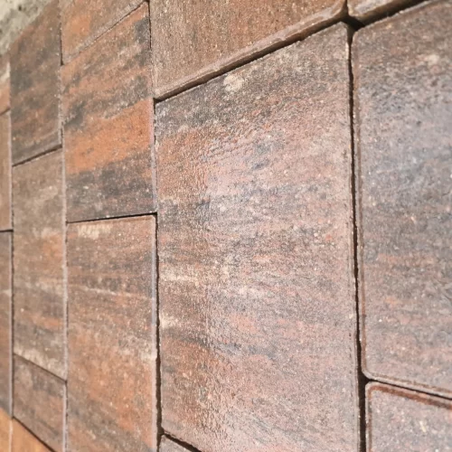 Купить Плитка тротуарная колормикс НЕПТУН Натур - фото: 3