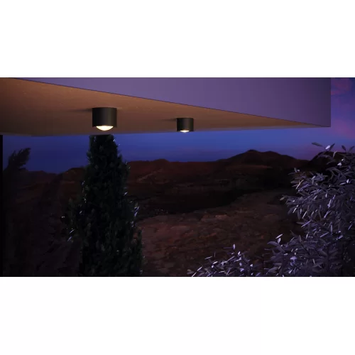 Купить Уличный потолочный светильник Lumina O498CL-L15B3K - фото: 10