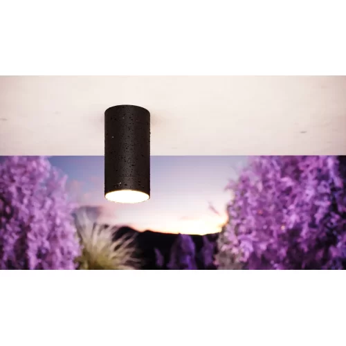 Купить Уличный потолочный светильник Luxe O500CL-L5B3K - фото: 7