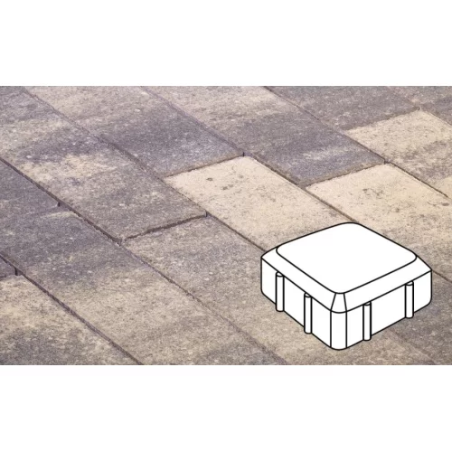 Купить Плитка тротуарная в форме - Старая площадь 160х160