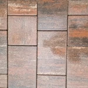 Плитка тротуарная колормикс НЕПТУН Натур