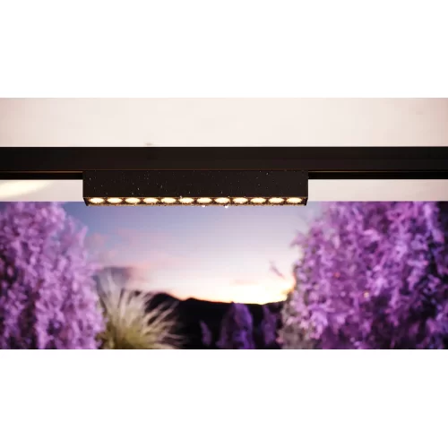Уличный трековый светильник Points Exility IP 4000К 12Вт 36° черный O-TR02-2-S-12WB4K — фото 11, Светильники для уличной трековой системы освещения Exility IP, Maytoni
